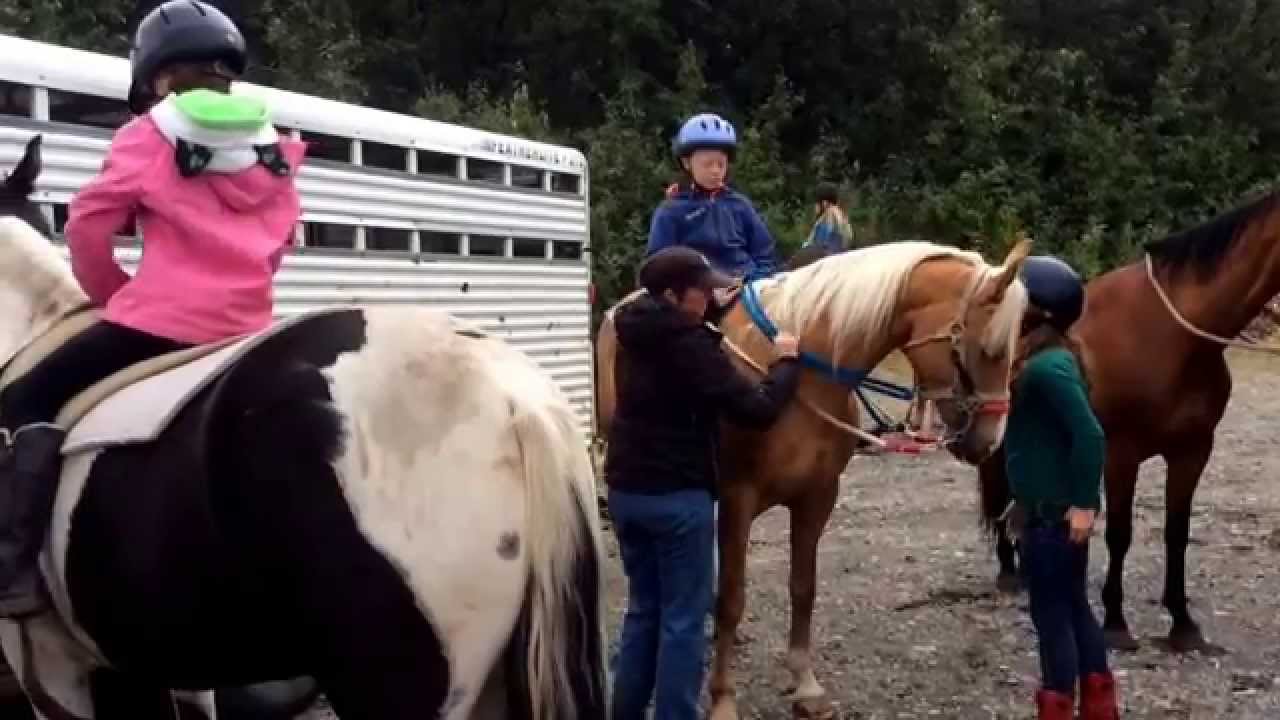 Horseback riding lessons at EZ Walkers in Palmer AK. YouTube