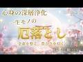 🌊 流し雛の浄化|心を手放す12分間528Hz・963Hz バイノーラルビート|ひな祭り・乙女座満月