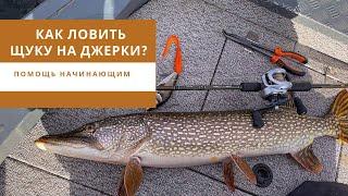 Как ловить щуку на джерки? Помощь начинающим.