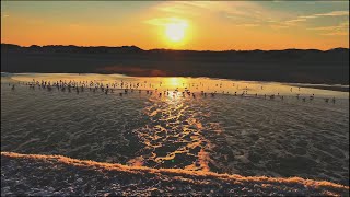 Outer Banks North Carolina in 4K | Duck, Corolla & Carova Beach Aerial Tour Where To Fly For Outer Banks