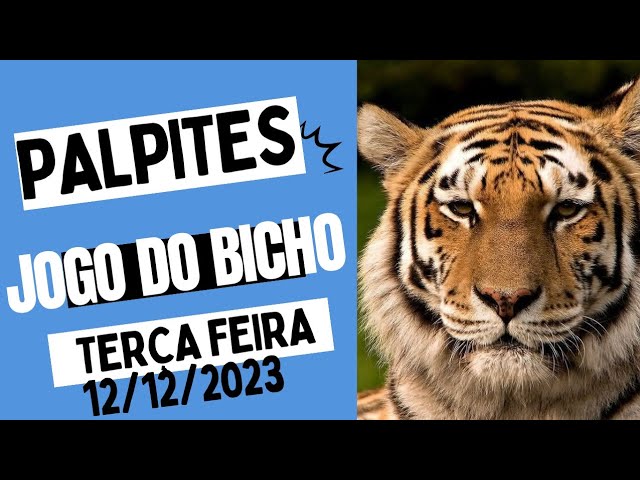 ▷ Palpites Federal - 08 de Julho 2023 - jogo do bicho hoje todas loterias »  Domiplay