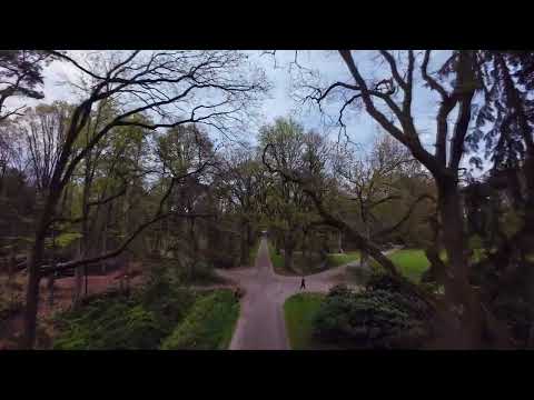 Free Flow in the Park thumbnail