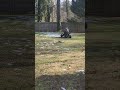 5 year old almost wheelies on 4 wheeler