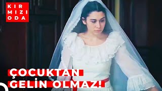 Memleketimizin Görmezden Gelinen Gerçeği \