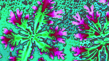 Nanoscale Fractal Branching Patterns