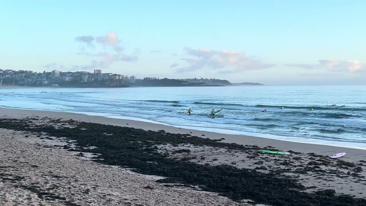 07.01.2026 Sydney Surf Report Manly Beach Australia