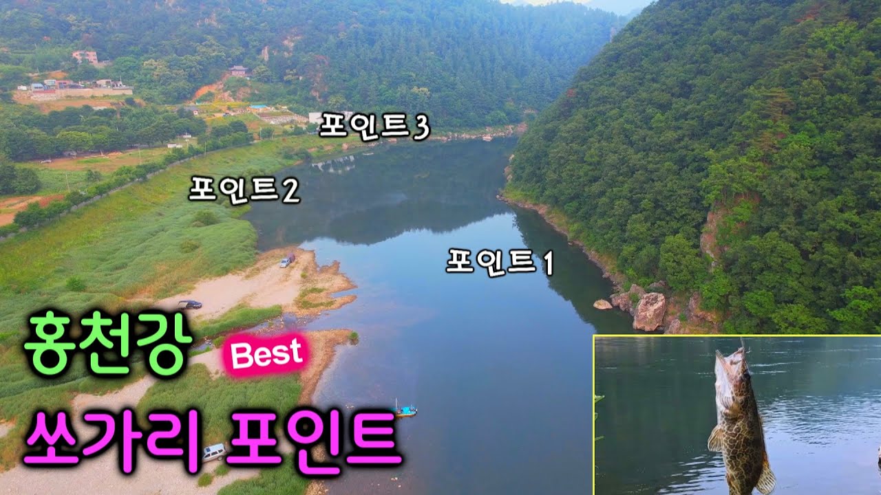 홍천강 3짜, 4짜 쏘가리 포인트! 드론 영상으로 자세히 소개합니다. 캠핑OK, 낚시OK, 취사OK, 화장실OK #쏘가리, #홍천강