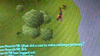 one of the best yew tree spot on rune scape!