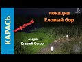 Русская рыбалка 4 - озеро Старый Острог - Карась трофейный золотой за бродом