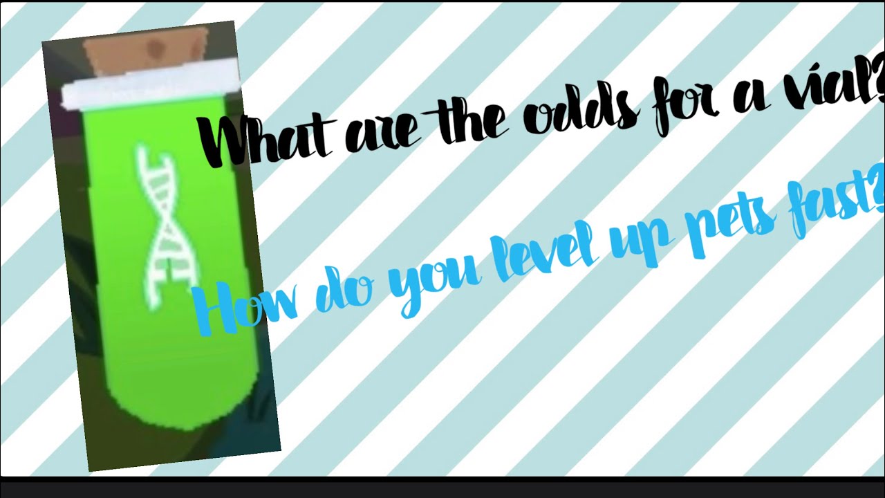 Tips And Tricks To Get Your Pets To Level 5 Fast The Odds Of How To Get An Armadillo Lizard Ajpw Youtube