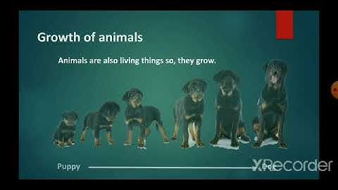 Class 1, Environmental Science EVS, Chapter 4, Growing Up, Part   2