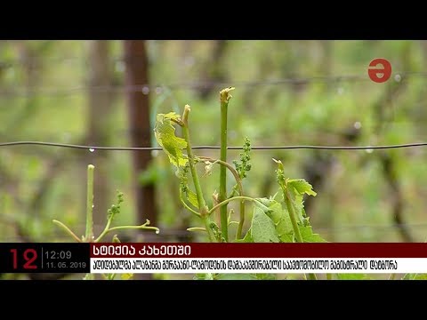 სტიქიამ კახეთის სოფლები დააზარალა