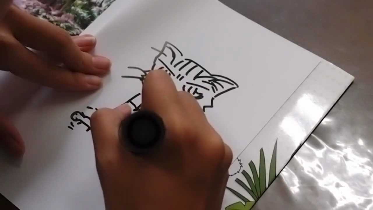 八丈島漫画 流されて八丈島 3冊め発売記念のサイン本 Youtube
