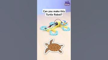 Turtle Robot #challenge #biomimicry #robot