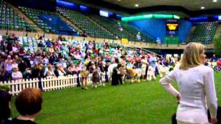 PCA BBE DOGS 2012