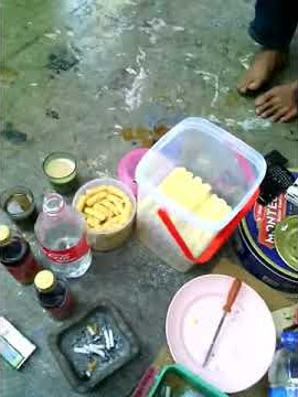 burung ciblek #sultan