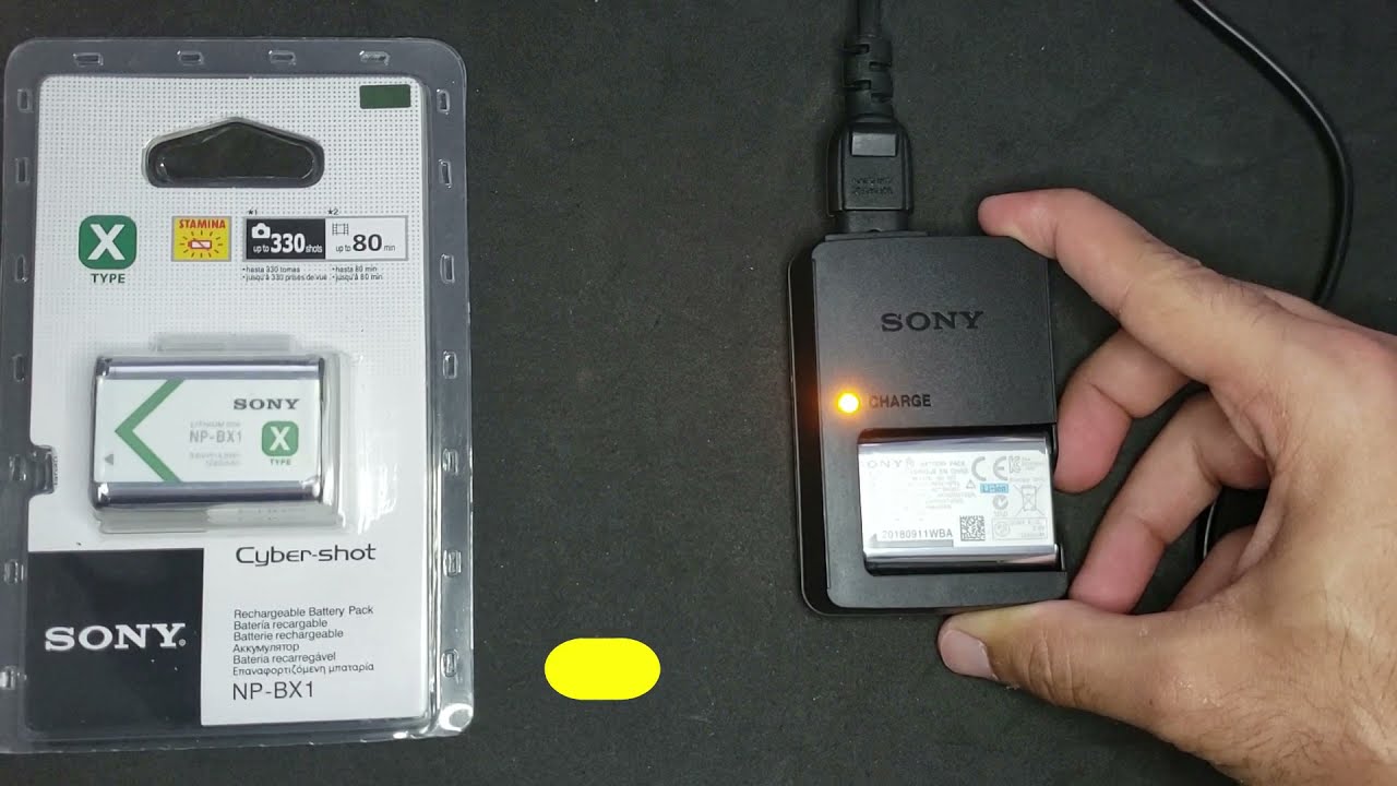 Bateria Sony NP-BX1 com carregador manual de uso correto
