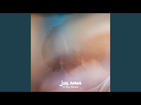 A Big World - Joel Adams