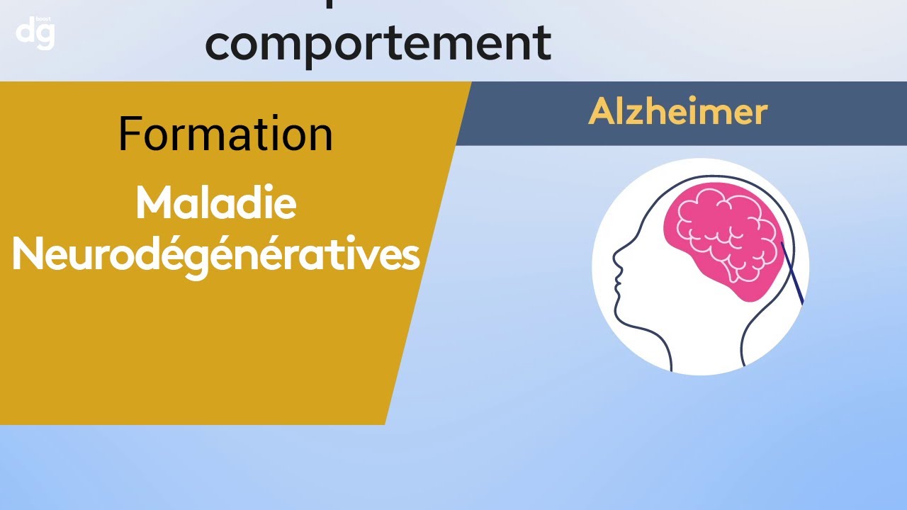 Présentation de la formation prise en charge des maladies ...
