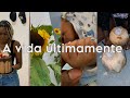 Vlog  minha vida ultimamente aniversrios   meu novo priminho  passeios  flores  e mais 