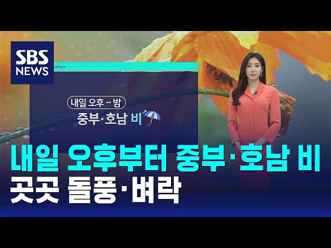 날씨 내일 오후부터 중부 호남 비 곳곳 돌풍 벼락 SBS 