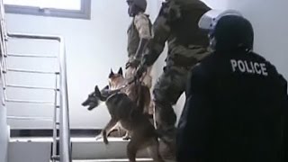 New video of Mali hotel attack