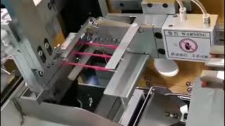 TYDC 5508  Fully Automatic Double End Tinning Machine