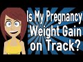 Is My Pregnancy Weight Gain on Track?