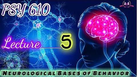 PSY610 || Lecture 5 || Neurological Bases of Behavior || Short Lecture || VU Lectures