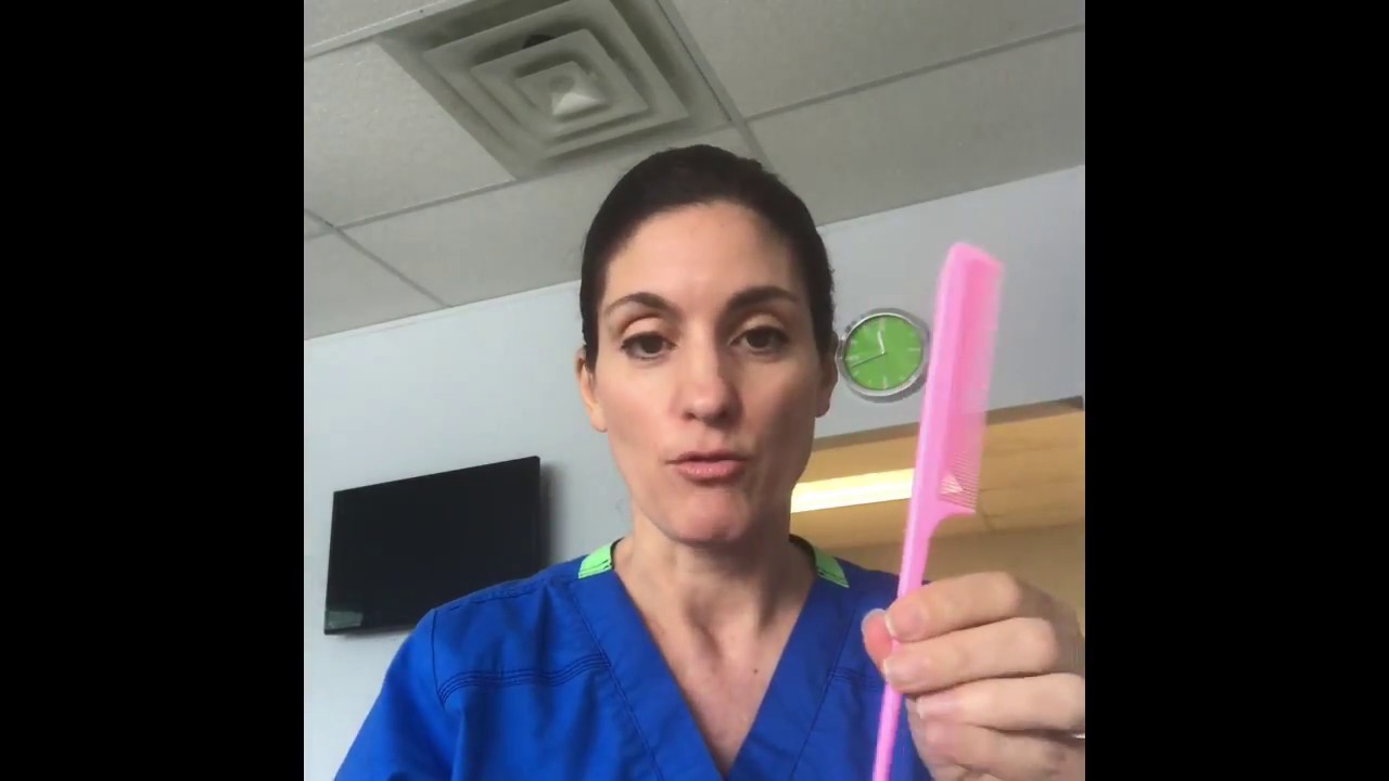 What Do Lice Eggs (nits) Look Like?