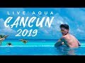 LIVE AQUA CANCUN ALL INCLUSIVE VACATION 2019 - YouTube