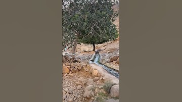روائع التلاوات للشيخ علي جابر رحمه الله.00144719819426Abomahdi Hony Egypt 2027