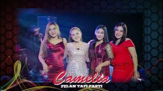 CAMELIA MUSIC - FLOWER WATER - SELLY PRAWOTO - WEDDING ISAL & FAZA - PEKALONGAN BATEALIT JEPARA