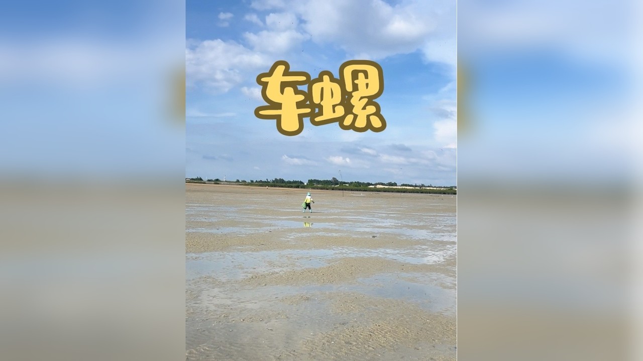 #一起感受大自然的馈赠 #赶海 #原创视频 今天的车螺挖到不想要了