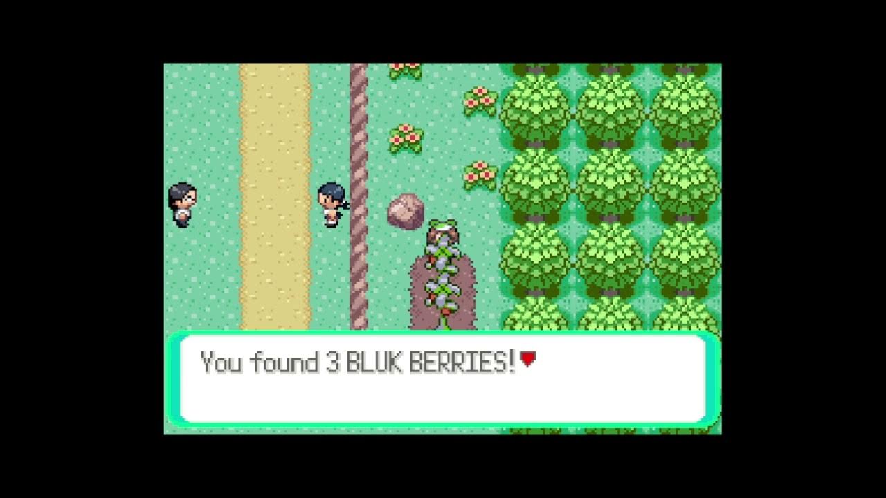 How to get Bluk Berry in Pokemon Emerald YouTube