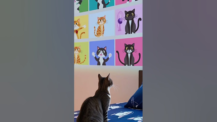 MODERN BEDSHEET 2025 😿 #cat #catmemes #funny #shorts #fyp