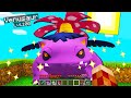 SFIDIAMO DARK SHADOW VENUSAUR PER LA PRIMA VOLTA SULLA PIXELMON!!