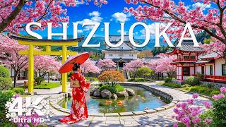 Shizuoka 4K | Lush Green Tea Fields & Majestic Mount Fuji Views - Relaxing Piano Music screenshot 5