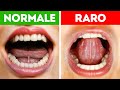 Oltre 200 Fatti Interessanti Che Ti Faranno Tornare per Saperne di Più