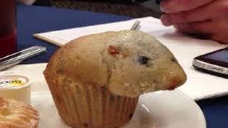 Number 15 hamster muffin