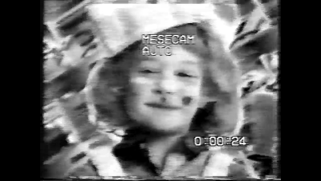 VHS LP Generation Loss