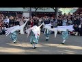 Asakusa Japan 白鷺の舞 2019