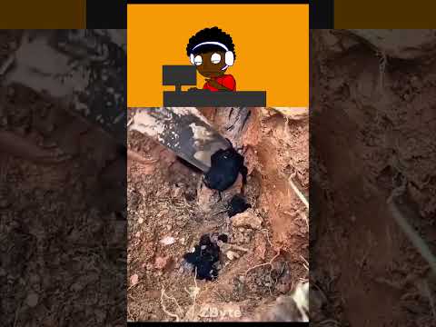 ไวเลยนะพี่ชาย #memes #animanik #animation #animatin #humor #animatry #funny #roblox #gta #comedy thumbnail