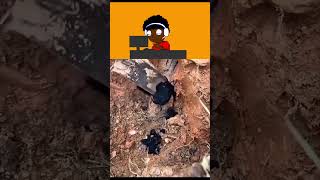 ไวเลยนะพี่ชาย #memes #animanik #animation #animatin #humor #animatry #funny #roblox #gta #comedy