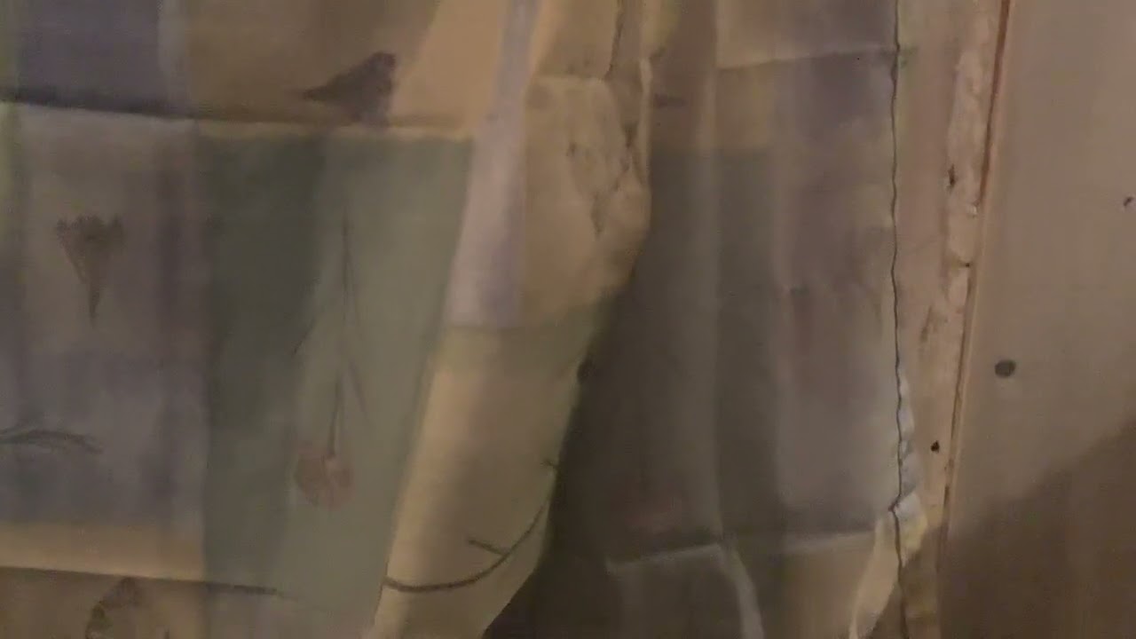 Just me with Blue (my dog) :P.                   [VOICE REVEAL BTW XP]