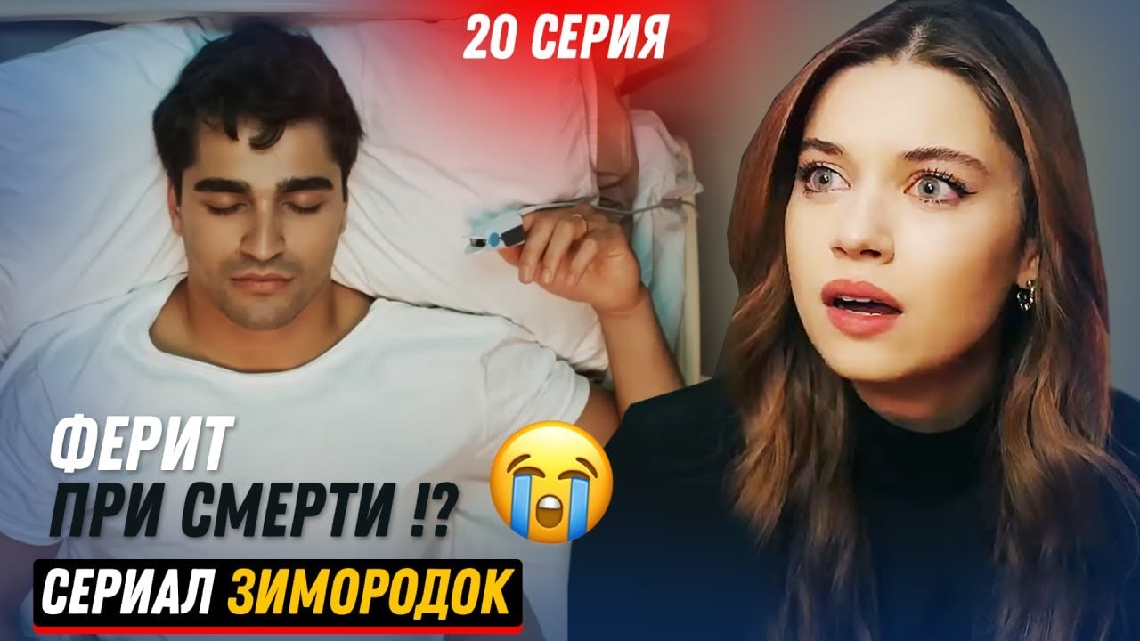 Зимородок турецкий сериал спойлеры