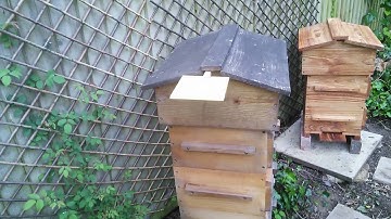 Hiving a swarm in a Warre