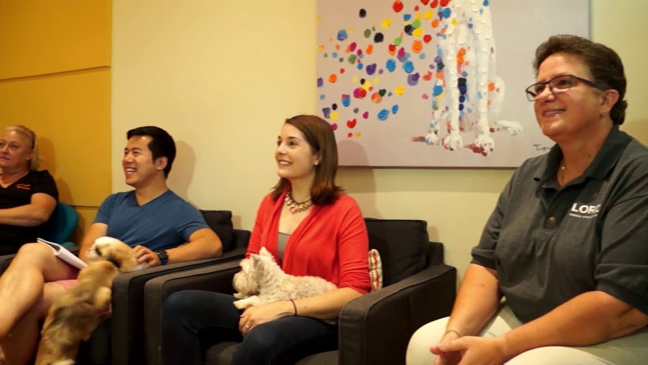 Lord Green Real Estate Strategies on American Dog Culture