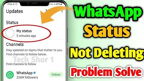 WhatsApp Status Not Deleting Problem Solve