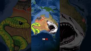 Are Australian🇦🇺 Animals REALLY as Dangerous 🐍😱as We Think